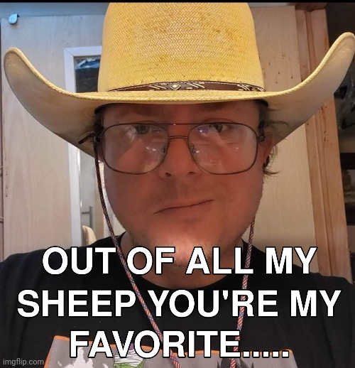 Sheep | image tagged in sheep | made w/ Imgflip meme maker