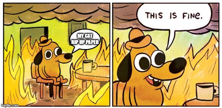 This Is Fine Meme | MY CAT RIP UP PAPER | image tagged in memes,this is fine | made w/ Imgflip meme maker