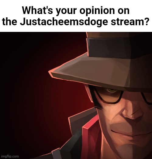 It's an alright stream imo | What's your opinion on the Justacheemsdoge stream? | made w/ Imgflip meme maker