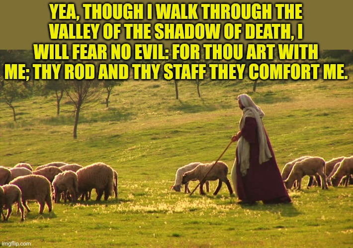 The Good Shepherd | YEA, THOUGH I WALK THROUGH THE VALLEY OF THE SHADOW OF DEATH, I WILL FEAR NO EVIL: FOR THOU ART WITH ME; THY ROD AND THY STAFF THEY COMFORT ME. | image tagged in the good shepherd | made w/ Imgflip meme maker