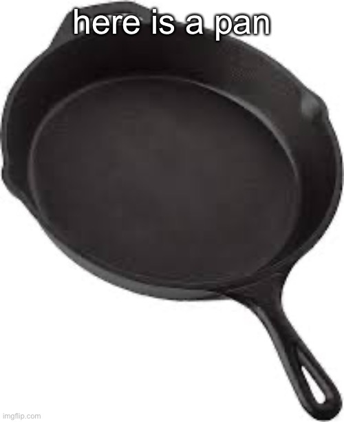 pan | here is a pan | image tagged in pan | made w/ Imgflip meme maker