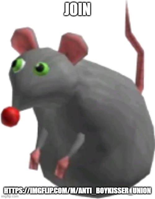 cheese rat | JOIN; HTTPS://IMGFLIP.COM/M/ANTI_BOYKISSER_UNION | image tagged in cheese rat | made w/ Imgflip meme maker