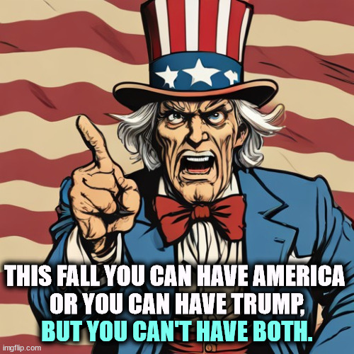 Trump doesn't believe in American Democracy. He will dismantle it to become dictator. | BUT YOU CAN'T HAVE BOTH. THIS FALL YOU CAN HAVE AMERICA 
OR YOU CAN HAVE TRUMP, | image tagged in america,democracy,history,trump,destroy,dictator | made w/ Imgflip meme maker