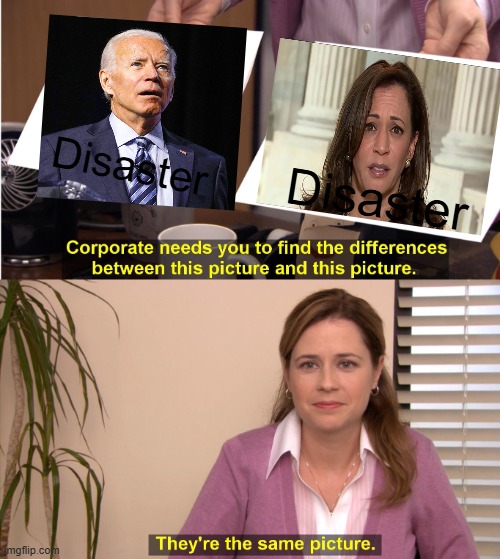 They're The Same Picture | Disaster; Disaster | image tagged in memes,they're the same picture | made w/ Imgflip meme maker