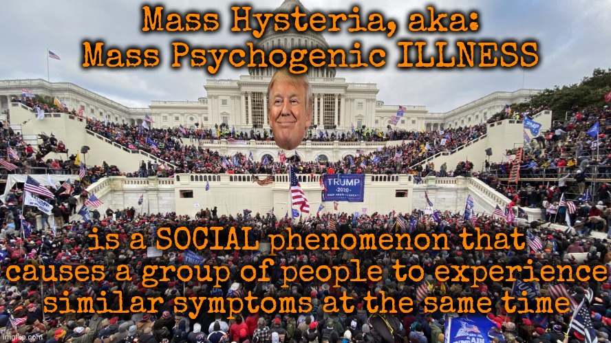 What's It Called When Someone Causes Mass Hysteria On Purpose? | Mass Hysteria, aka: Mass Psychogenic ILLNESS; is a SOCIAL phenomenon that causes a group of people to experience similar symptoms at the same time | image tagged in january 6 rioters on capitol steps,lock him up,trump lies,mass hysteria,trump unfit unqualified dangerous,memes | made w/ Imgflip meme maker