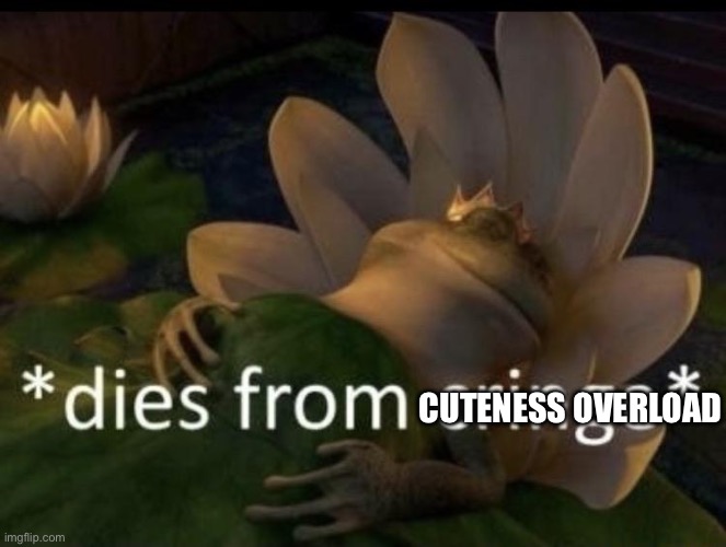 Dies from cringe | CUTENESS OVERLOAD | image tagged in dies from cringe | made w/ Imgflip meme maker
