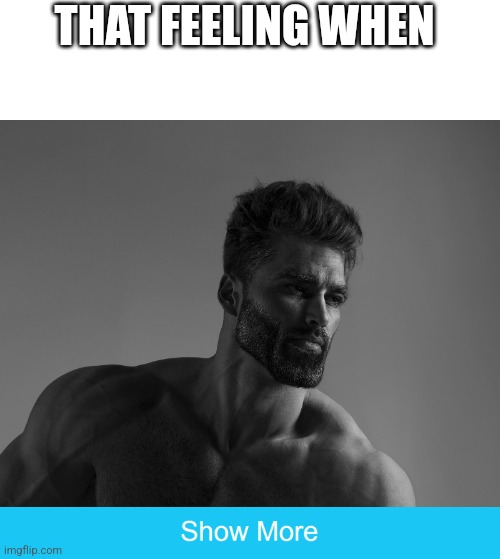 show more | THAT FEELING WHEN | image tagged in show more | made w/ Imgflip meme maker