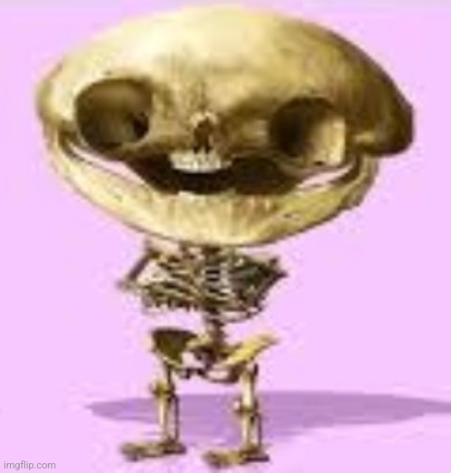 stew skull | image tagged in stew skull | made w/ Imgflip meme maker