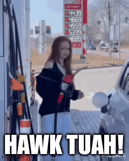 8vdv6t.gif