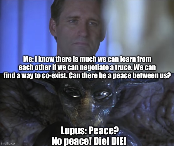 Today We Don’t Celebrate Our Systemic Lupus Day | Me: I know there is much we can learn from each other if we can negotiate a truce. We can find a way to co-exist. Can there be a peace between us? Lupus: Peace? No peace! Die! DIE! | image tagged in illness,disease,independence day,4th of july,july 4th | made w/ Imgflip meme maker