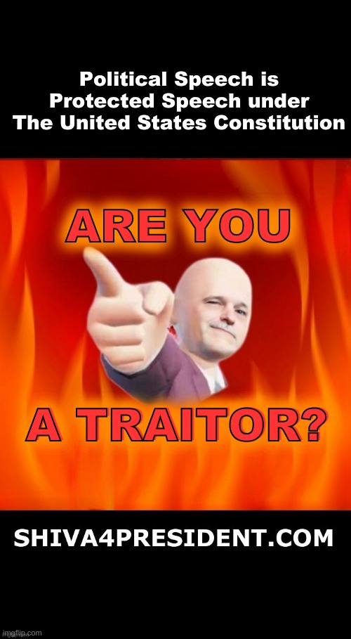 A Public Forum is still a Public Forum even if privately owned | Political Speech is Protected Speech under The United States Constitution; ARE YOU; ARE YOU; A TRAITOR? A TRAITOR? | image tagged in imgflip mods,free speech,public,what if i told you,cheating,meanwhile on imgflip | made w/ Imgflip meme maker