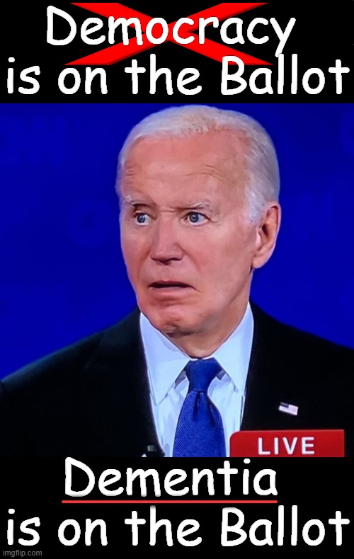 Unfit To Be Our Commander in Chief | Democracy 
is on the Ballot; _____________; Dementia 
is on the Ballot | image tagged in politics,joe biden,democrat party,delusional,dementia,the truth | made w/ Imgflip meme maker