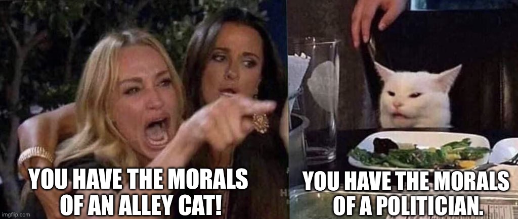 woman yelling at cat | YOU HAVE THE MORALS 
OF AN ALLEY CAT! YOU HAVE THE MORALS 
OF A POLITICIAN. | image tagged in woman yelling at cat | made w/ Imgflip meme maker