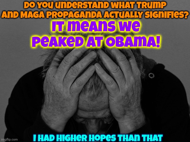 U. G. H. | Do you understand what Trump and Maga propaganda actually signifies? It means we peaked at Obama! I had higher hopes than that | image tagged in ugh,but why tho,memes,barack obama,joe biden,trump unfit unqualified dangerous | made w/ Imgflip meme maker