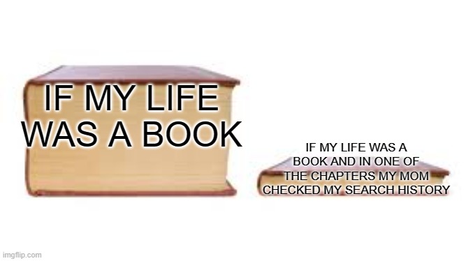 at least you wouldn't have to read that much | IF MY LIFE WAS A BOOK; IF MY LIFE WAS A BOOK AND IN ONE OF THE CHAPTERS MY MOM CHECKED MY SEARCH HISTORY | image tagged in big book small book | made w/ Imgflip meme maker