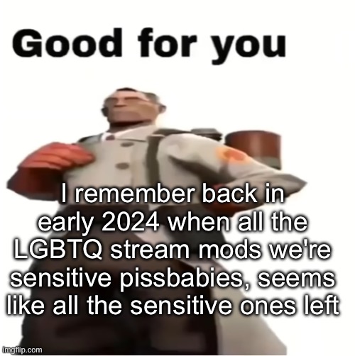 Like bro, they banned their own users | I remember back in early 2024 when all the LGBTQ stream mods we're sensitive pissbabies, seems like all the sensitive ones left | image tagged in good for you | made w/ Imgflip meme maker