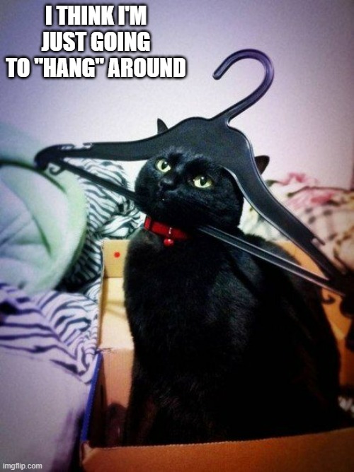 memes by Brad - My cat is just going to hang around | I THINK I'M JUST GOING TO "HANG" AROUND | image tagged in funny,cats,funny cat memes,kittens,humor,cute kittens | made w/ Imgflip meme maker