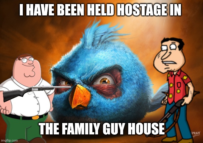 Realistic Blue Angry Bird | I HAVE BEEN HELD HOSTAGE IN; THE FAMILY GUY HOUSE | image tagged in realistic blue angry bird | made w/ Imgflip meme maker