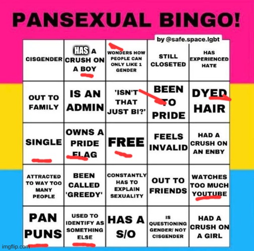 Pansexual Bingo | HAS | image tagged in pansexual bingo | made w/ Imgflip meme maker
