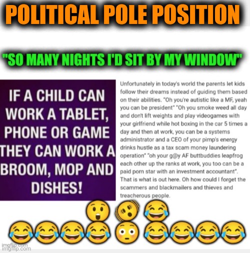 Funny | POLITICAL POLE POSITION | image tagged in funny,political,politics,expectation vs reality,unrealistic expectations,humanity | made w/ Imgflip meme maker