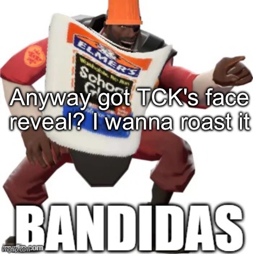 Bandidas | Anyway got TCK's face reveal? I wanna roast it | image tagged in bandidas | made w/ Imgflip meme maker