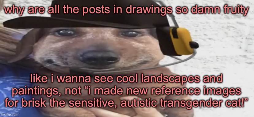 chucklenuts | why are all the posts in drawings so damn fruity; like i wanna see cool landscapes and paintings, not “i made new reference images for brisk the sensitive, autistic transgender cat!” | image tagged in chucklenuts | made w/ Imgflip meme maker
