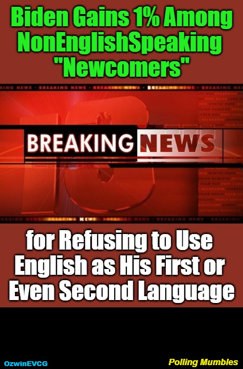 Polling Mumbles | Biden Gains 1% Among

NonEnglishSpeaking 

"Newcomers"; for Refusing to Use 

English as His First or 

Even Second Language; Polling Mumbles; OzwinEVCG | image tagged in breaking news,political humor,joe biden,sad,presidential debate,polls | made w/ Imgflip meme maker