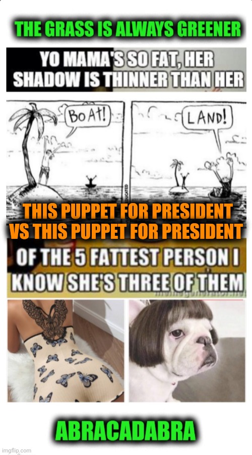 Funny | THIS PUPPET FOR PRESIDENT VS THIS PUPPET FOR PRESIDENT | image tagged in funny,politics,political humor,hilarious memes,reality,grass is greener | made w/ Imgflip meme maker
