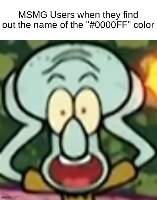Flabbergasted Squidward | MSMG Users when they find out the name of the "#0000FF" color | image tagged in flabbergasted squidward | made w/ Imgflip meme maker