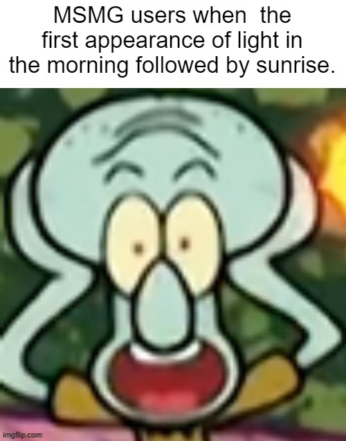 Flabbergasted Squidward | MSMG users when  the first appearance of light in the morning followed by sunrise. | image tagged in flabbergasted squidward | made w/ Imgflip meme maker