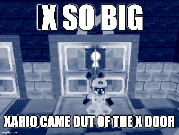 X | X SO BIG; XARIO CAME OUT OF THE X DOOR | image tagged in m so big | made w/ Imgflip meme maker