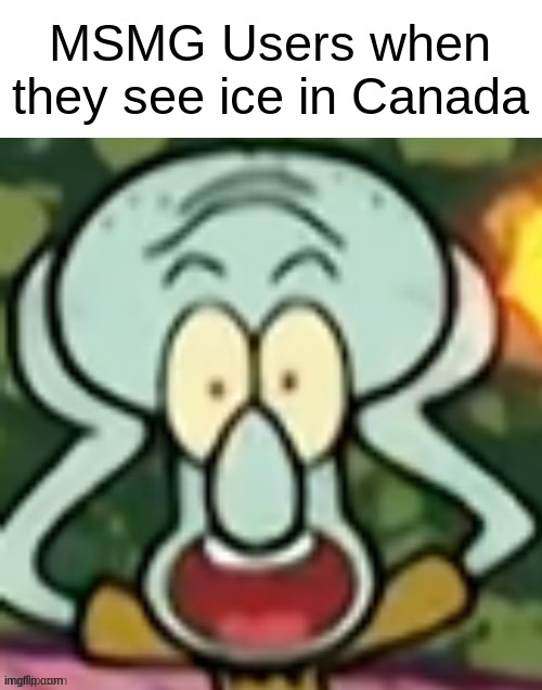 Flabbergasted Squidward | MSMG Users when they see ice in Canada | image tagged in flabbergasted squidward | made w/ Imgflip meme maker