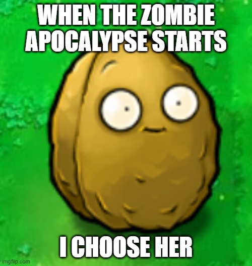 u | WHEN THE ZOMBIE APOCALYPSE STARTS; I CHOOSE HER | image tagged in wall-nut | made w/ Imgflip meme maker