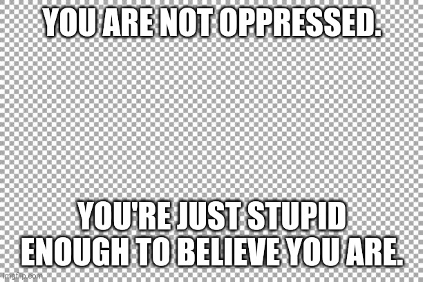 I'm not even allowed to mention which groups I'm referring to, that's how not oppressed they are. | YOU ARE NOT OPPRESSED. YOU'RE JUST STUPID ENOUGH TO BELIEVE YOU ARE. | image tagged in oppression | made w/ Imgflip meme maker