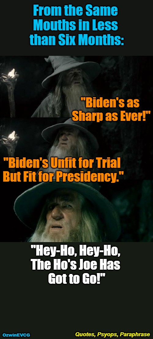 Quotes, Psyops, Paraphrase | From the Same 

Mouths in Less 

than Six Months:; "Biden's as 

Sharp as Ever!"; "Biden's Unfit for Trial 

But Fit for Presidency."; "Hey-Ho, Hey-Ho, 

The Ho's Joe Has 

Got to Go!"; Quotes, Psyops, Paraphrase; OzwinEVCG | image tagged in confused gandalf,joe biden,deep state,donald trump,political theater,msm lies | made w/ Imgflip meme maker