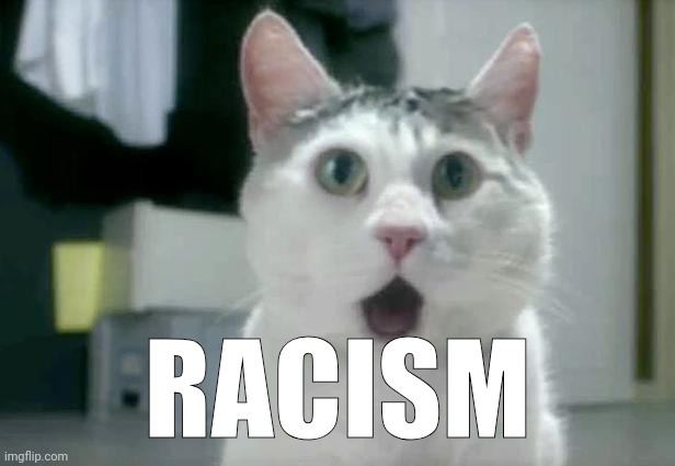 idk why i wanted to make this. | RACISM | made w/ Imgflip meme maker