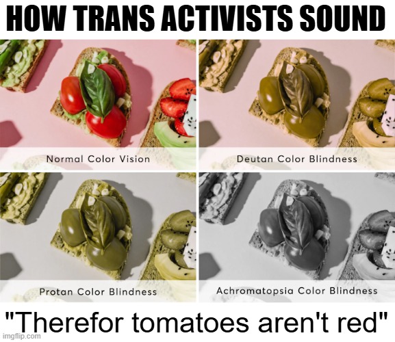 HOW TRANS ACTIVISTS SOUND; "Therefor tomatoes aren't red" | image tagged in transgender,identity politics | made w/ Imgflip meme maker