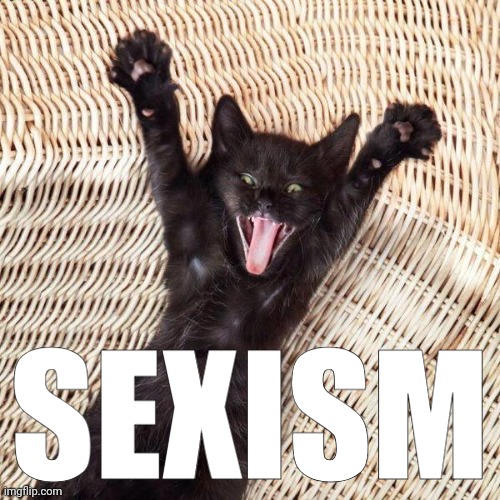 sexism | SEXISM | made w/ Imgflip meme maker