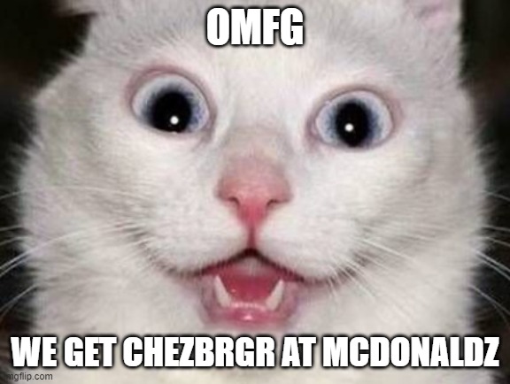 crazy cat | OMFG; WE GET CHEZBRGR AT MCDONALDZ | image tagged in crazy cat | made w/ Imgflip meme maker