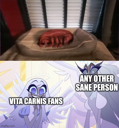 Omg, its so cute! | ANY OTHER SANE PERSON; VITA CARNIS FANS | image tagged in live emily and sera reactions,vita carnis | made w/ Imgflip meme maker