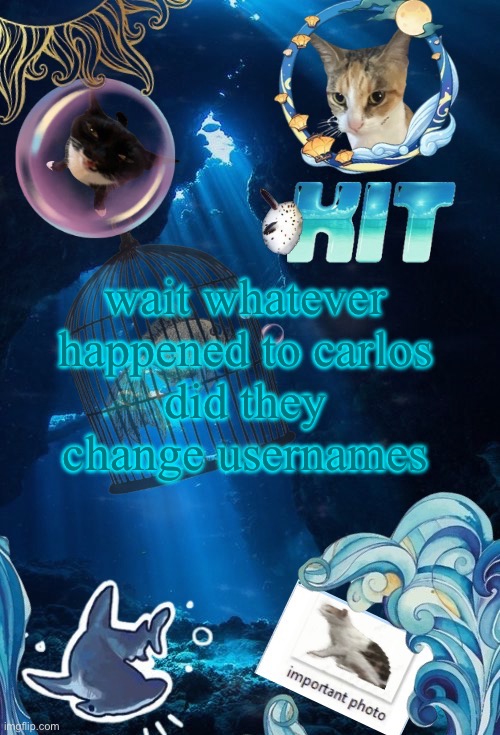 or like did they just disappear | wait whatever happened to carlos
did they change usernames | image tagged in silly announcement template by asriel | made w/ Imgflip meme maker