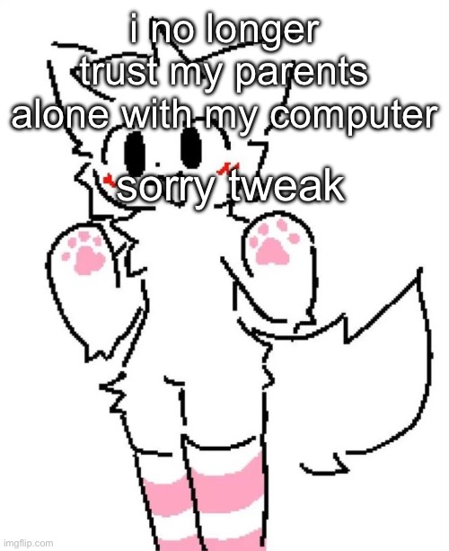 Boykisser | i no longer trust my parents alone with my computer; sorry tweak | image tagged in boykisser | made w/ Imgflip meme maker