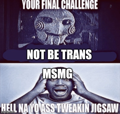 your final challenge | NOT BE TRANS; MSMG | image tagged in your final challenge | made w/ Imgflip meme maker