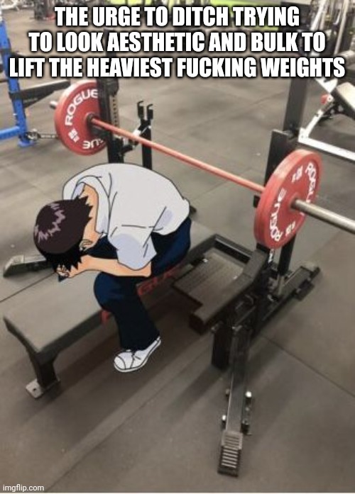 THE URGE TO DITCH TRYING TO LOOK AESTHETIC AND BULK TO LIFT THE HEAVIEST FUCKING WEIGHTS | made w/ Imgflip meme maker