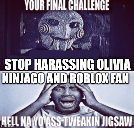 your final challenge | STOP HARASSING OLIVIA; NINJAGO AND ROBLOX FAN | image tagged in your final challenge | made w/ Imgflip meme maker