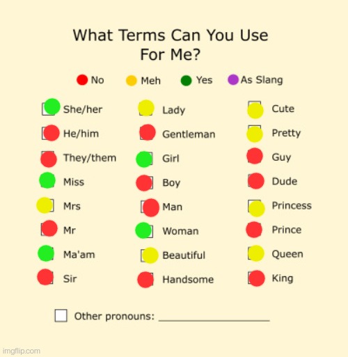 My pronouns | image tagged in pronouns sheet | made w/ Imgflip meme maker