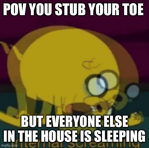 Jake The Dog Internal Screaming | POV YOU STUB YOUR TOE; BUT EVERYONE ELSE IN THE HOUSE IS SLEEPING | image tagged in jake the dog internal screaming | made w/ Imgflip meme maker