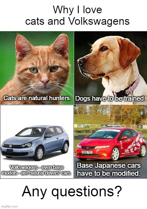 Cats and Volkswagens versus Dogs and Japanese Cars | Why I love cats and Volkswagens; Cats are natural hunters. Dogs have to be trained. Volkswagens - even base models - are natural drivers' cars. Base Japanese cars have to be modified. Any questions? | image tagged in cats,dogs,volkswagens,japanese cars | made w/ Imgflip meme maker