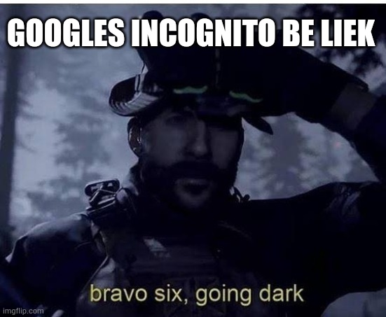 Bravo six going dark | GOOGLES INCOGNITO BE LIEK | image tagged in bravo six going dark | made w/ Imgflip meme maker