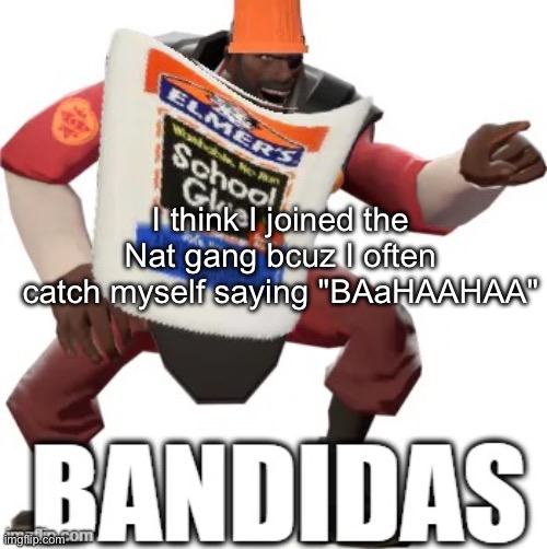 Bandidas | I think I joined the Nat gang bcuz I often catch myself saying "BAaHAAHAA" | image tagged in bandidas | made w/ Imgflip meme maker